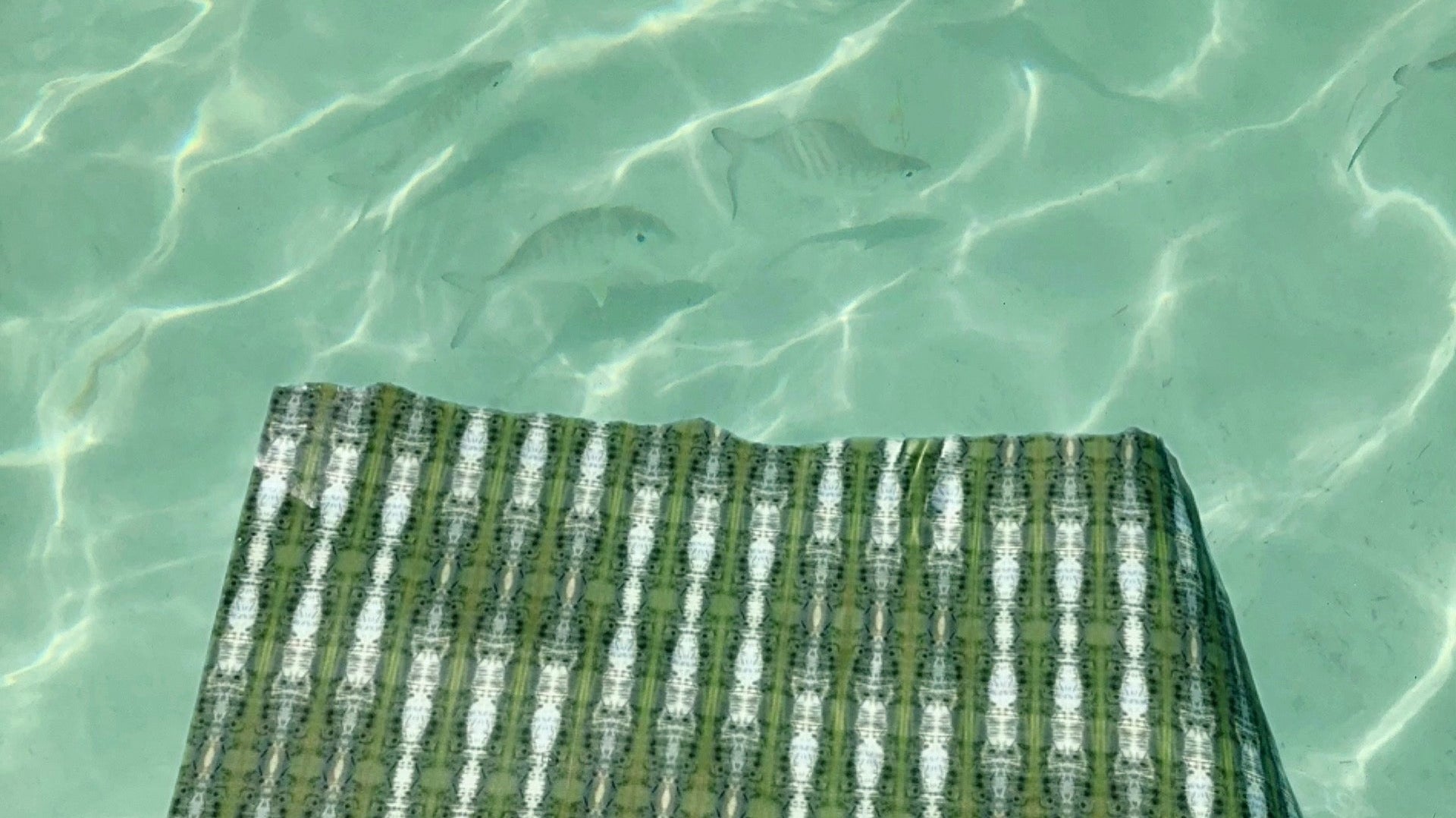 Nature's Paper Trail