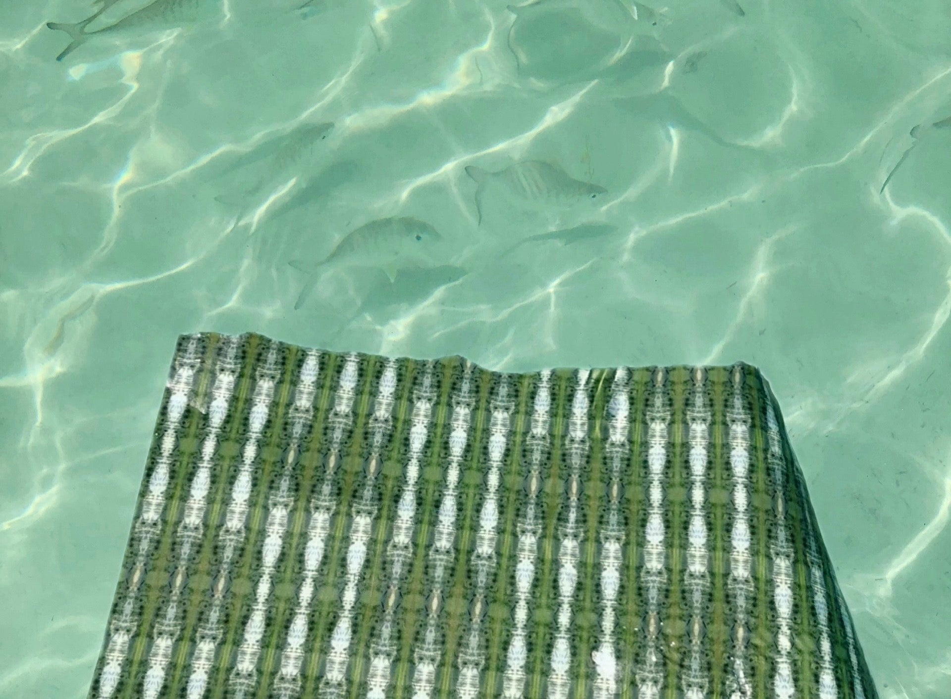 Nature's Paper Trail